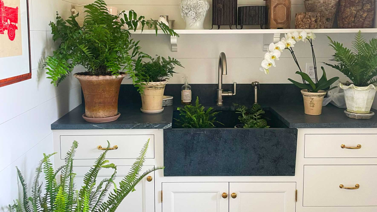 In-Home Plant Visits