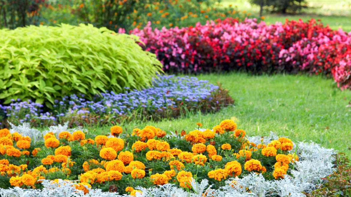 What Makes A Successful Landscape?