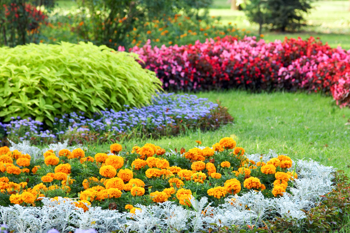 Beautifully landscaped garden with colorful flowers