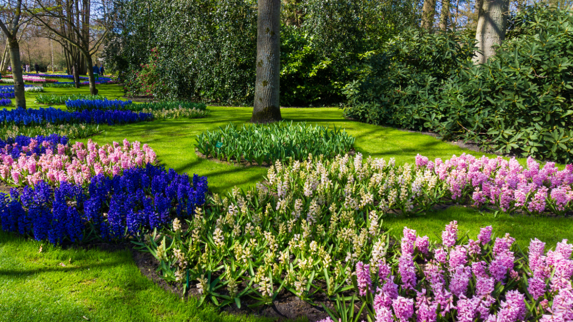 Why Do You Need Landscaping?