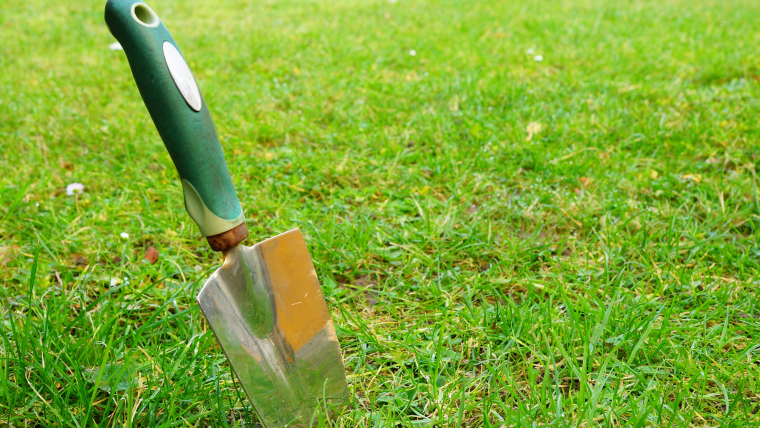 How To Prepare Your Yard For A Landscaping Project?