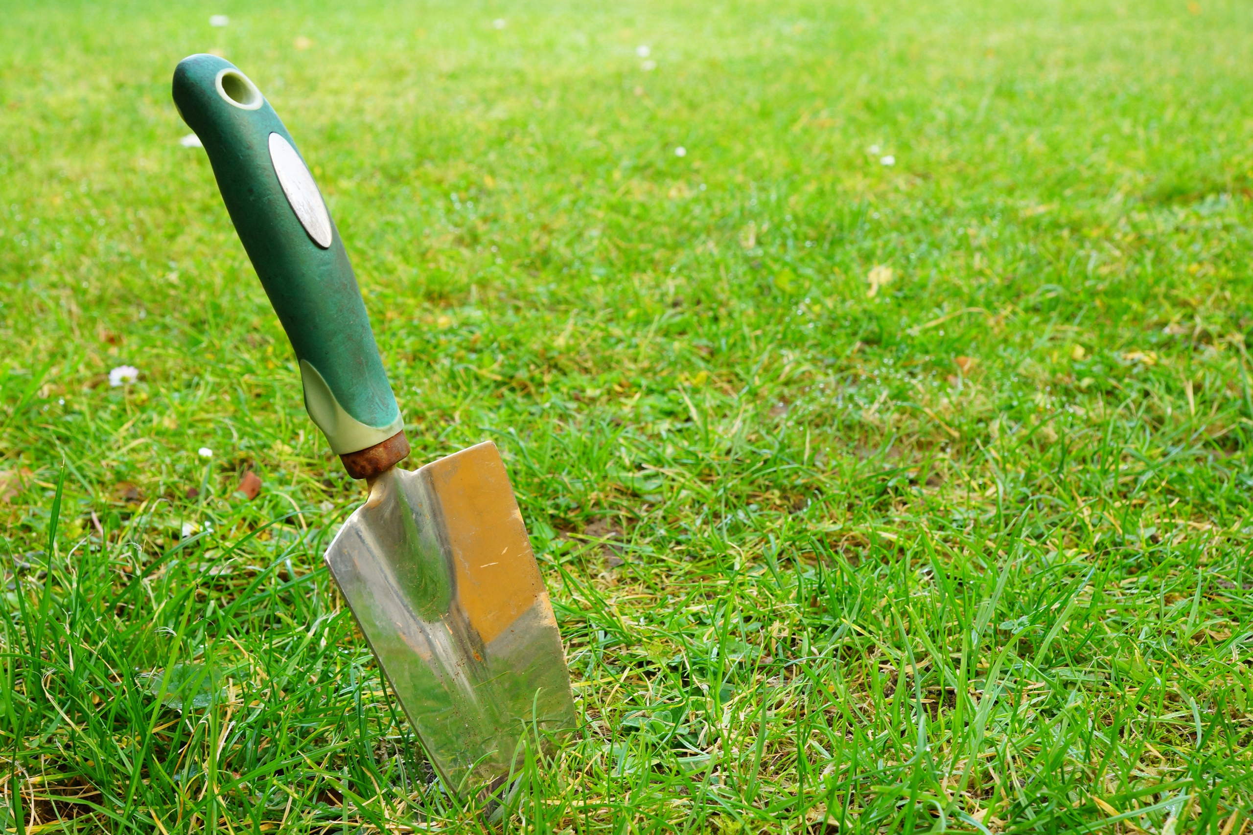Close-up shot of a hand trowel.