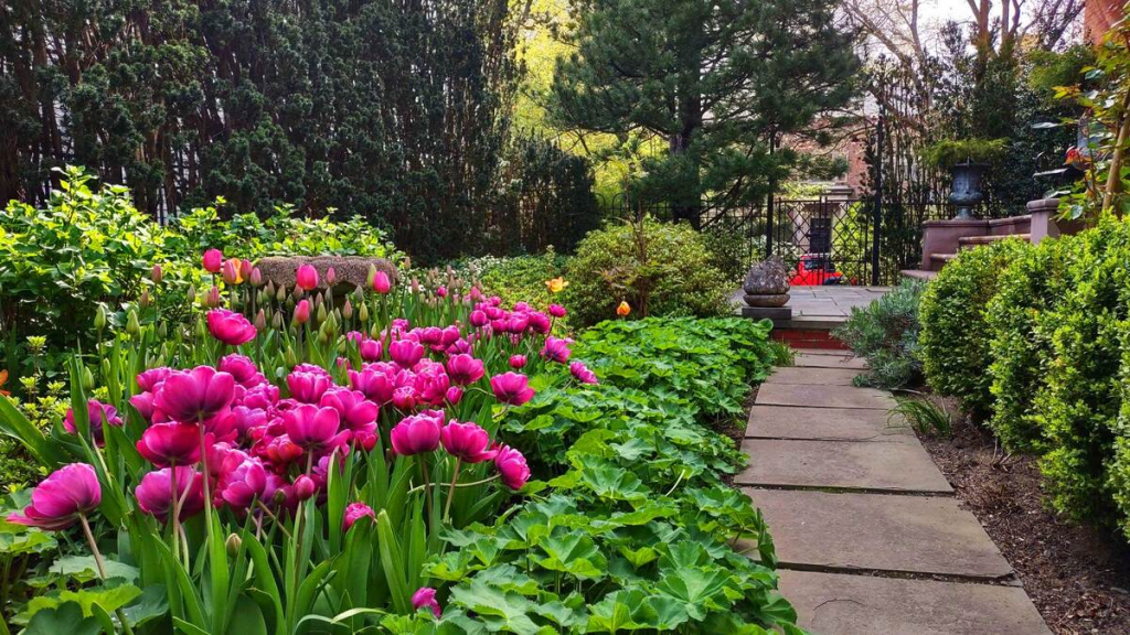 A beautiful garden landscape with concrete pathwalk