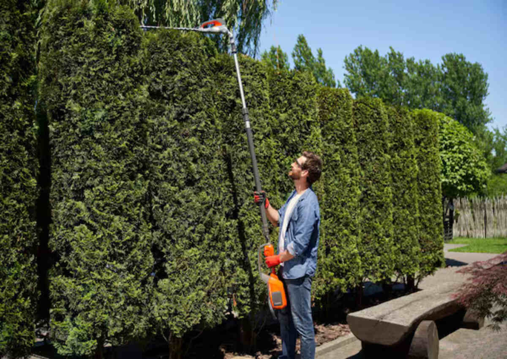 A male landscaper cutting overgrown trees in the yard