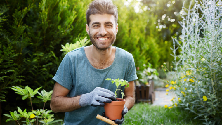 Tips For Designing A Low Maintenance Landscape