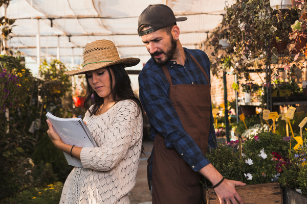Professional landscapers working on the plan.