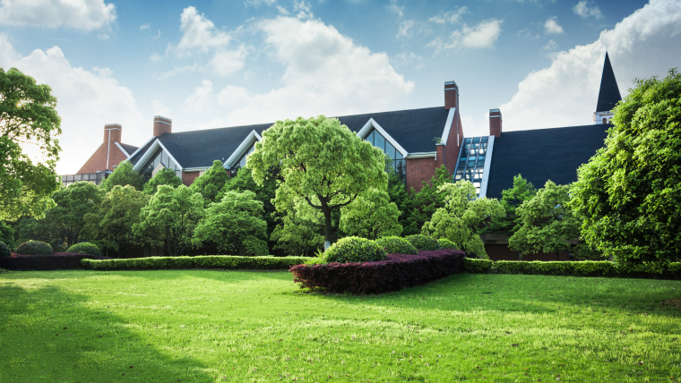 How Does Landscaping Help The Environment?