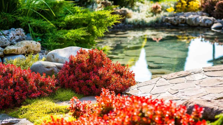 What Is The Best Time Of The Year To Do Landscaping?