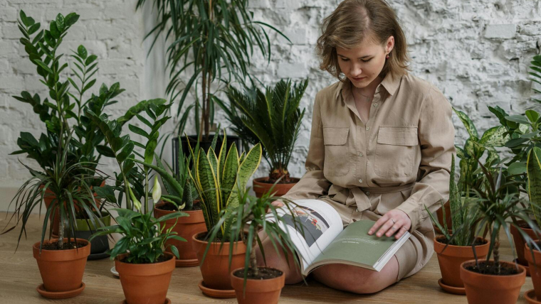 What Is The Difference Between A Landscape Architect And A Landscape Designer?