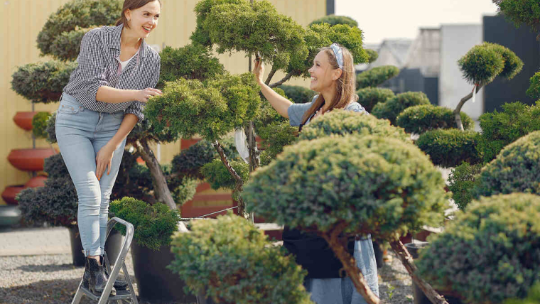 What Are The Key Landscape Design Principles For Gardens?