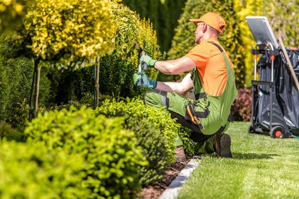 A man doing a landscaping project