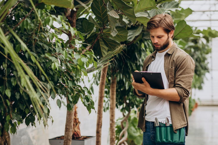 A landscaper using his tablet to check the landscape design
