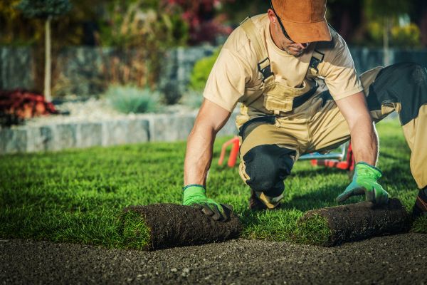 A landscaper installing sod
