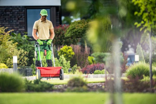 A landscaper mowing the lawn