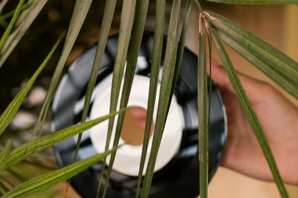 person holding vinyl record behind a leaf