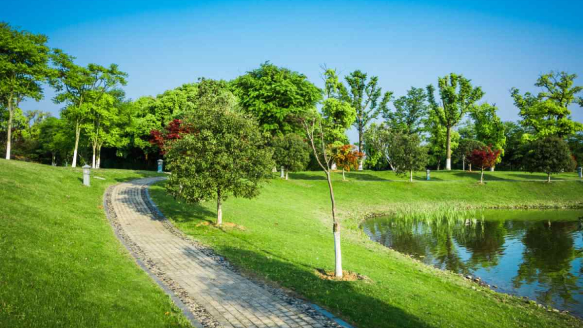 What Are The Elements And Principles Of Landscape Design?