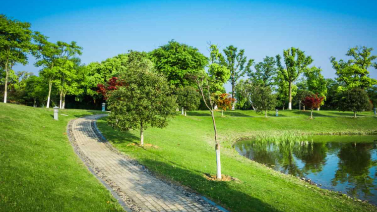 What Are The Elements And Principles Of Landscape Design?