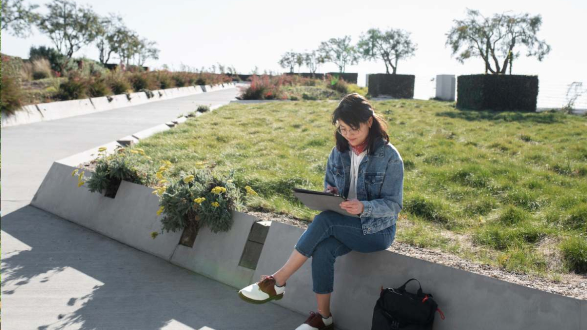 How Does Rhythm Enhance Your Landscape Design Aesthetics?