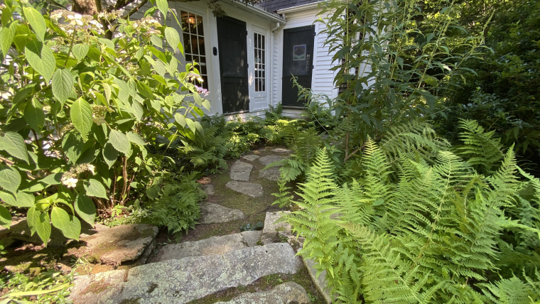 Seasonal & Advisory Services