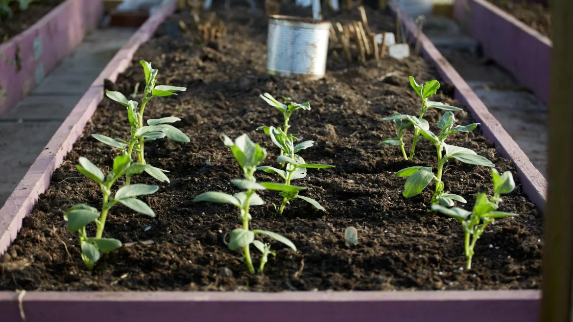 Refreshing Garden Beds For The Season (Mulch, Edging, Structure)