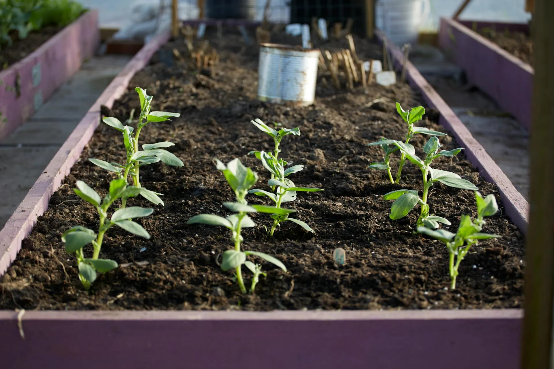 Refreshing Garden Beds For The Season (Mulch, Edging, Structure)