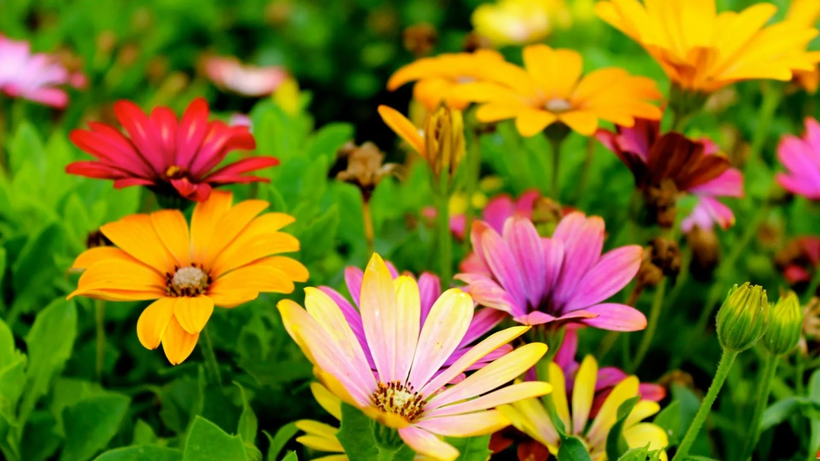 Spring Garden Design Trends For New England Estates