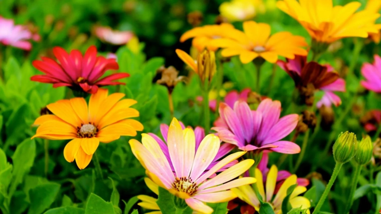 Spring Garden Design Trends For New England Estates