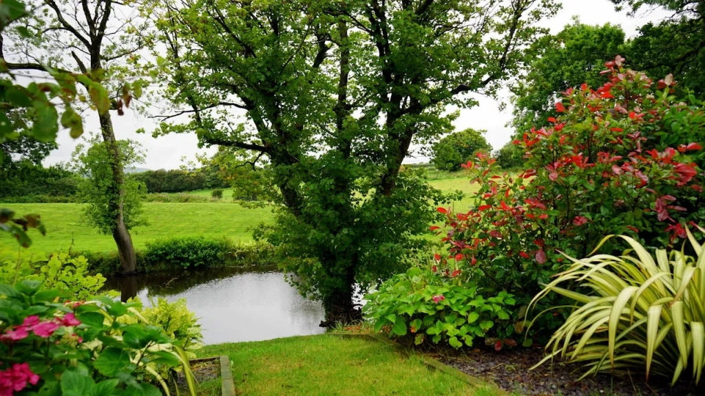 Beautiful garden design in the backyard