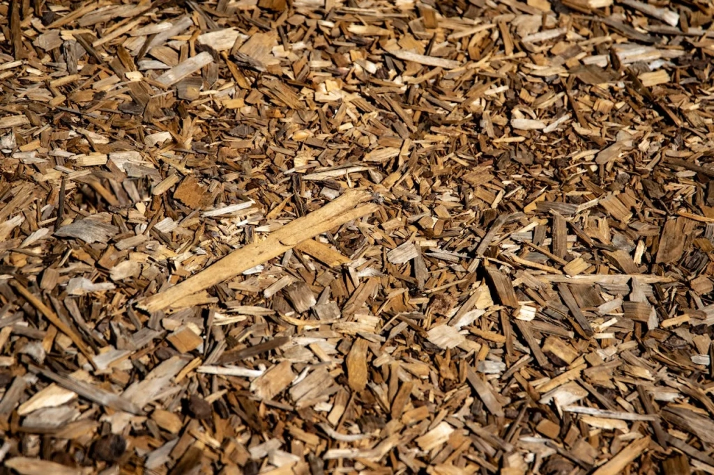 Mulch on the ground