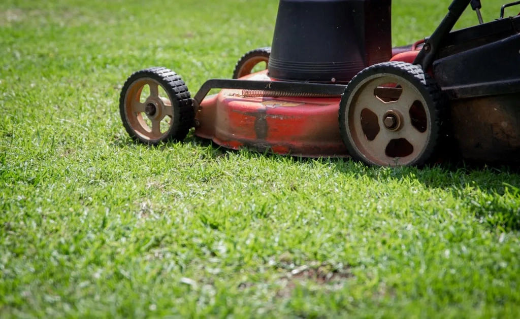 patchy lawn after winter