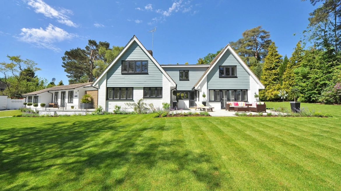 Lawn Recovery After Winter: Compaction, Snow Mold & Salt Damage